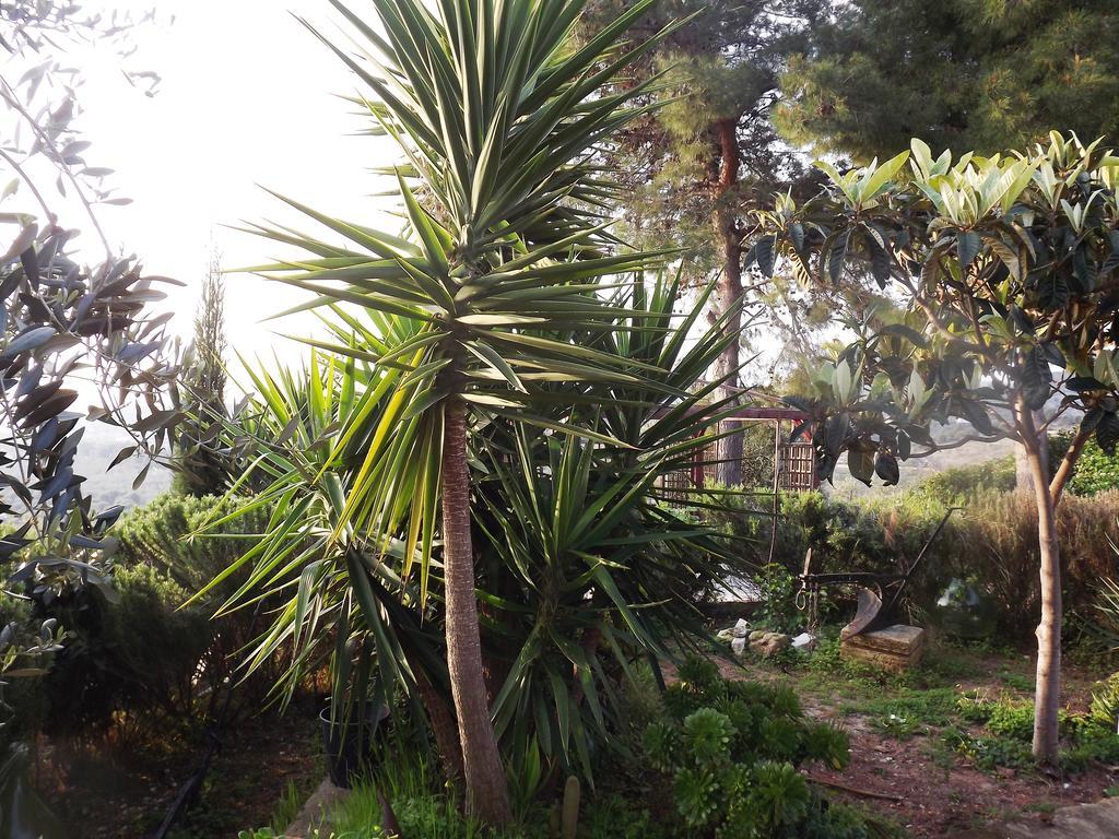 Casa Del Carrubo Villa Vieste Bagian luar foto